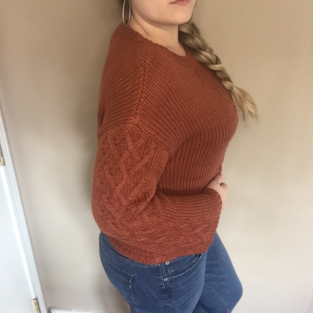 NWT BB DAKOTA Retro Active Cable Knit Sweater Rust - Picture 7 of 15